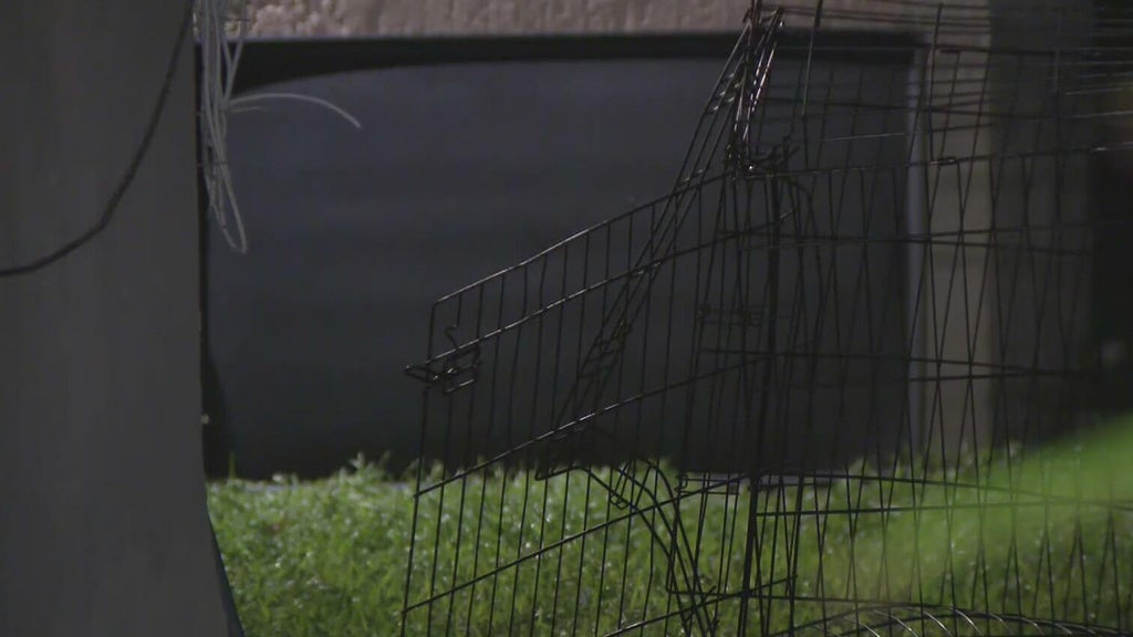 911 call captures frantic report of dog chasing, biting children in Miami — CBS Miami, Lubbock Health news