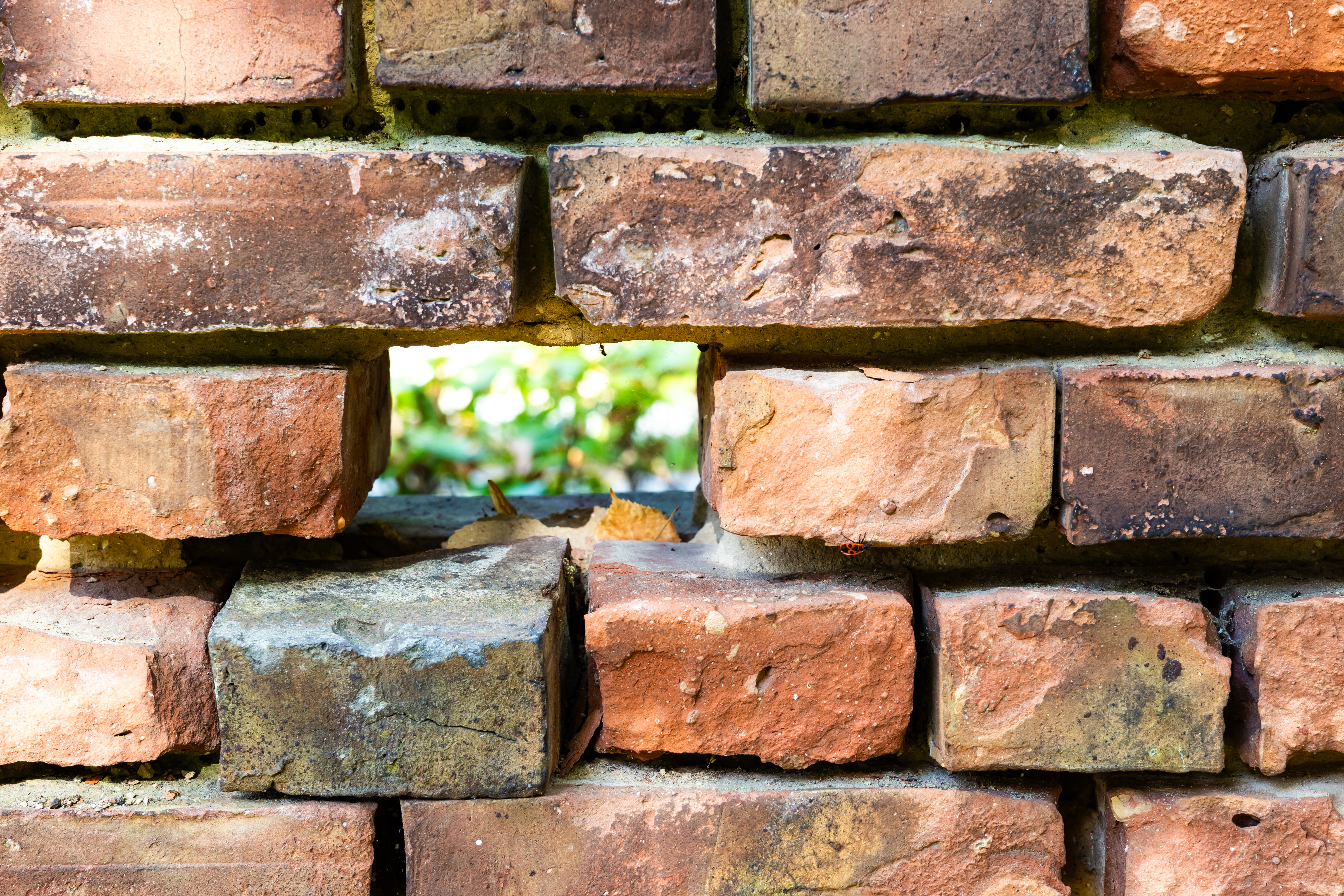 6-year-old girl breaks leg after getting hit by falling bricks in Queens — Gothamist, Lubbock Community news