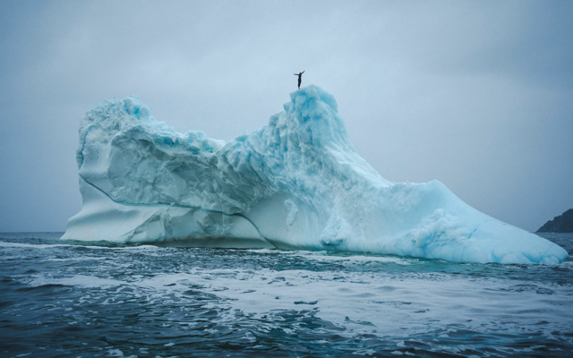 Cliff diver Molly Carson makes history, becomes first woman to dive off iceberg — WPBF Sports Palm Beach, Lubbock Sports news