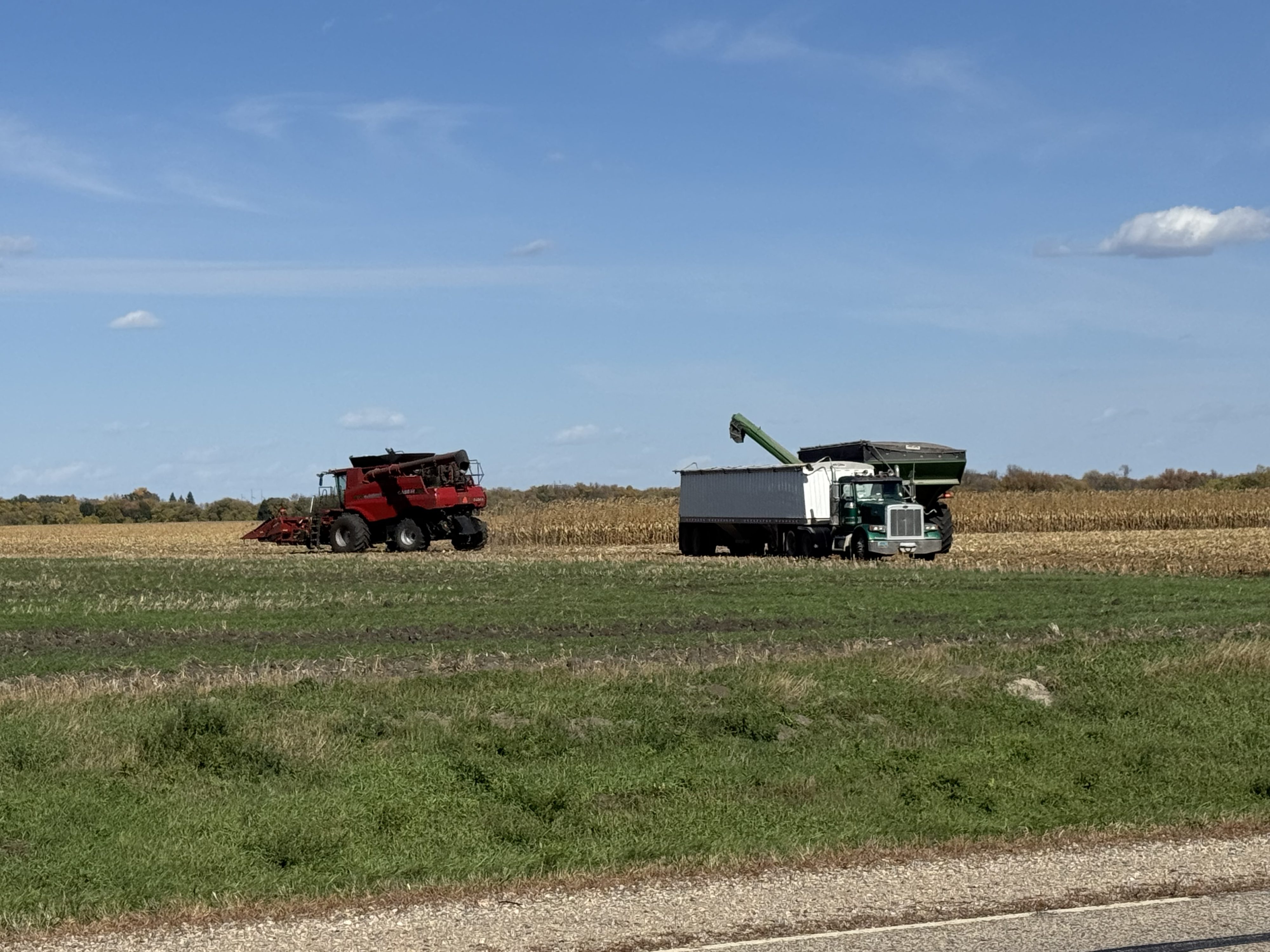 USDA announces record 2025 crop year safety net program payments — KFGO, Lubbock Community news